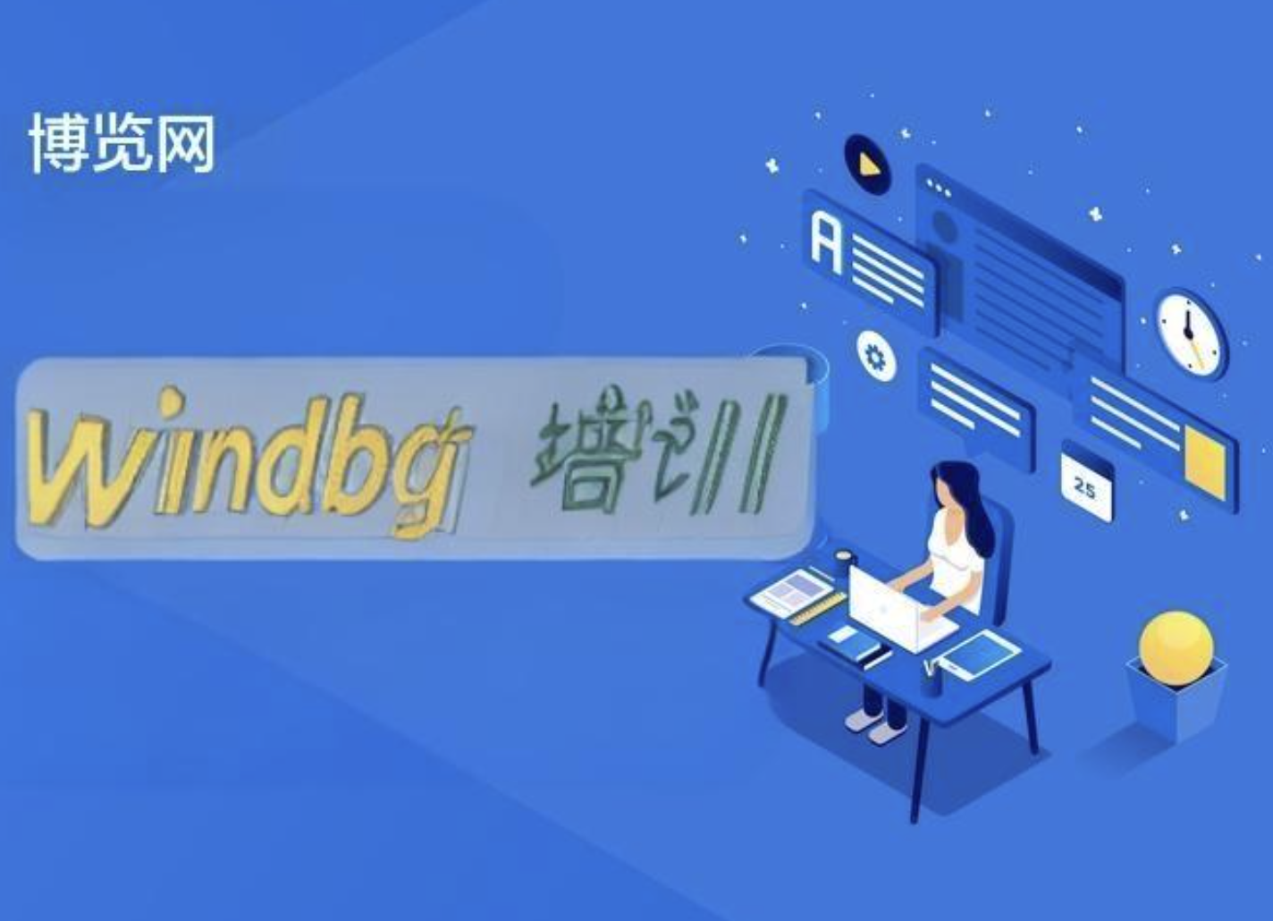 博览网windbg培训.net