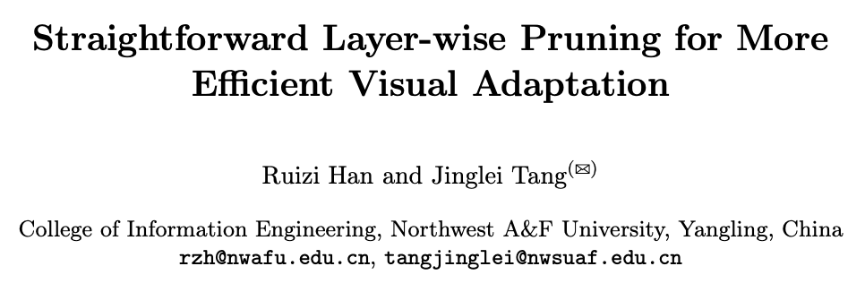 SLS：整层剪掉！基于降维特征聚类的PETL模型剪枝新方法 | ECCV’24