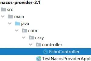 Nacos 高级详解：提升你的开发和部署效率