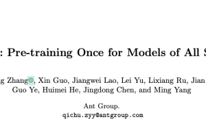 POA：已开源，蚂蚁集团提出同时预训练多种尺寸网络的自监督范式 | ECCV 2024