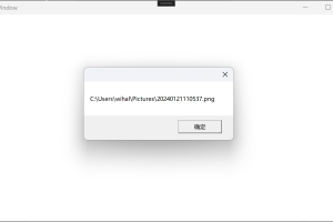 C#使用SendMessage进行进程间通讯