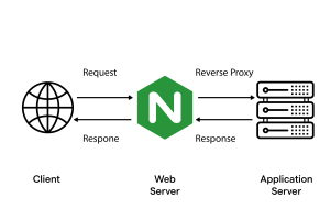 Nginx 高性能架构解析