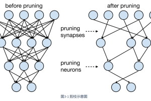 模型剪枝：剪枝粒度、剪枝标准、剪枝时机、剪枝频率