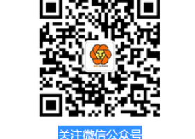 前端是指什么?女生是否适合前端开发?