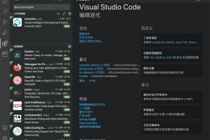 10 个你可能还不知道 VS Code 使用技巧