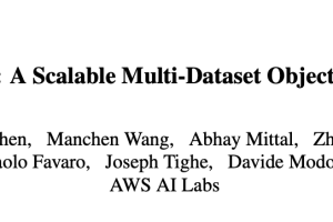 ScaleDet：AWS 基于标签相似性提出可扩展的多数据集目标检测器 | CVPR 2023