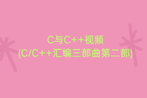 1条视频暴涨数万粉–小红书+视频号的新项目！单月轻松变现2000-4000【揭秘】