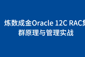 炼数成金Oracle 12C RAC集群原理与管理实战