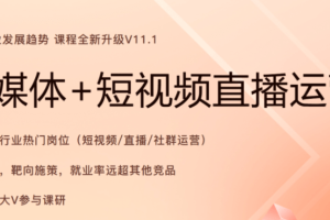 2024年11月版黑马新媒体+短视频直播课程