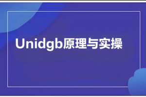 Unidgb原理与实操