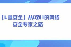 【老鑫安全】从0到1的网络安全专家之路 二进制安全和Web安全
