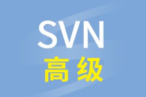硅谷SVN高级视频