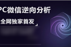 PC微信hook逆向分析，视频课程，价值599