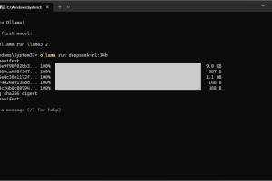 超详细：普通电脑也行Windows部署deepseek R1训练数据并当服务器共享给他人