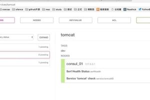 分布式服务注册发现与统一配置管理之 Consul