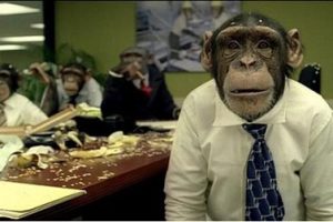 程序员跳槽好不好，记住这两条救你一生