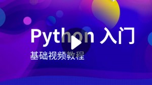 什么是Python？对于初学者意味着什么？