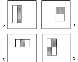 Python+OpenCV实现猫脸检测