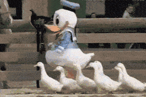 W3Cschool上周更新内容