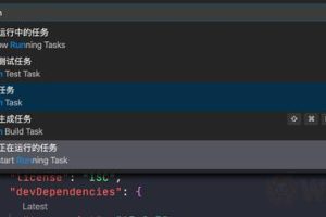 如何在日常工作中合理使用VSCode Task