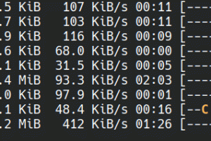 go语言实现终端里的倒计时