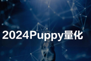 2024Puppy量化