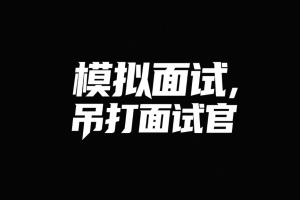 鱼皮模拟面试，吊打面试官