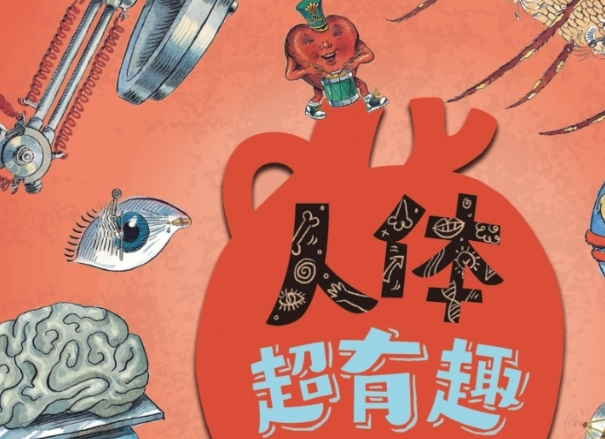 《人体超有趣》趣味人体科普图画书 令人称奇的脑洞画风