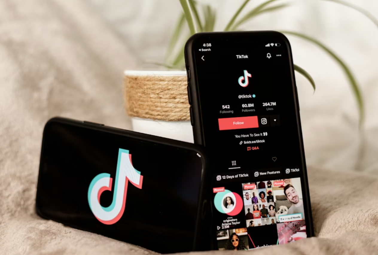 TikTok全套视频课，新手入门+进阶课，短视频ADS-GMV MAX投流打品，日销破1000单打法