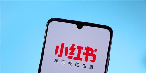 从0开始学大数据 | 完结